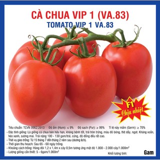 Hạt giống Cà chua Chịu Nhiệt F1 VIP 5gam, nhanh thu hoạch
