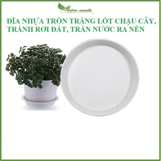 Đĩa lót chậu cây, chậu hoa vuông/ tròn trắng các loại, đĩa lót đáy tránh nước bẩn bắn, chảy nền nhà