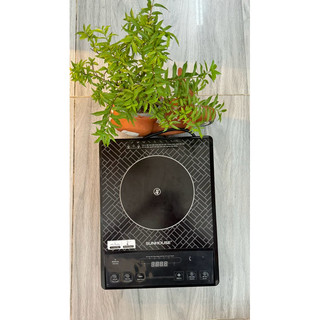 Bếp hồng ngoại sunhouse SHD6011