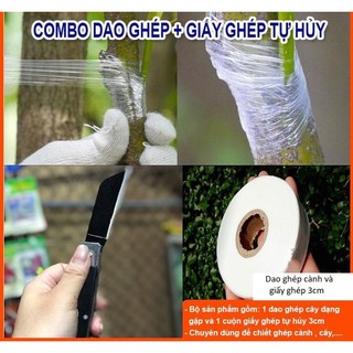Bộ sản phẩm ghép cây gồm dao gập và giấy ghép cây 3cm- có sẵn