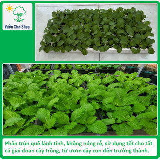 Phân Trùn Quế - Nguyên Chất 100% - 1 kg