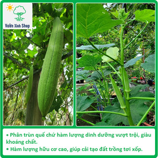 Phân Trùn Quế - Nguyên Chất 100% - 1 kg