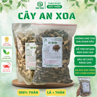 1kg Cây An Xoa Loại 1 Đức Thiện (Khô, Sạch, Thơm) - Hỗ Trợ Tình Trạng Ung Thư Gan Và Các Vấn Đề Về Gan