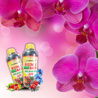 Humic 322 - Phân Bón Hữu Cơ giải độc đất