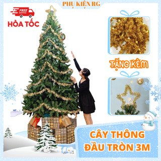 Cây thông Noel 3m trang trí nhà cửa quán Cafe, cây thông giáng sinh 3m chân sắt tặng 1 ngôi sao đỉnh và 8 dây kim tuyến