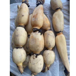 Củ sen tươi-1kg