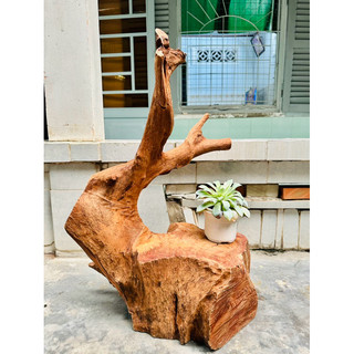 Đôn gỗ đặt tượng , kê chậu Hoa - ship hoả tốc HCM