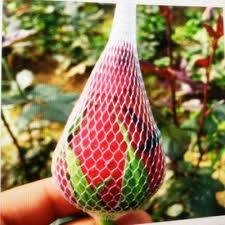 100GRAM TÚI LƯỚI BAO HOA VÀ ĐỰNG PHÂN DÊ, PHÂN TAN CHẬM