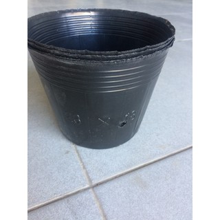 TUÍ BẦU TRÒN ĐEN ƯƠM CÂY ( SIZE 23X18)- 1KG - CHẬU NHỰA SỬ DỤNG NHIỀU LẦN
