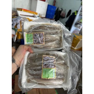 🐟 CÁ MỐI PHI LÊ PHƠI DẺO - NGỌT THỊT - 1KG/2 VỈ 500G