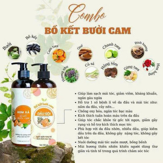 Dầu gội xả bồ kết bưởi cam combo gội xả thảo dược thiên nhiên giúp tóc chắc khỏe phục hồi hư tổn cho tóc