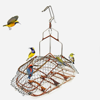 Lồng Bẫy Chim Khuyên, Hút Mật, Ốc Mít, Sâu, Kiểu Vai Vuông Kĩ Full Đồng