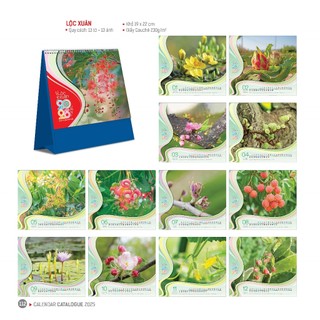 LỊCH ĐỂ BÀN 2025 - LỊCH TẾT 2025 - LỊCH CHỮ A 2025 - 17x19CM - 19x22CM