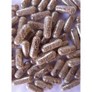 Artemia Nước Ngọt Dạng Viên Con Nhộng - Artemia Nuôi Sinh Khối