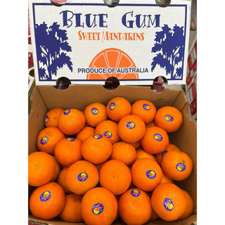 Hcm - ship liền 👉🏻 quýt úc blue vip 👈🏻