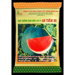 Hạt Giống Dưa Hấu lai F1 An Tiêm 95 (Gói 50 Gam)