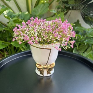 Chậu Nơ Men Bóng Gốm Sứ Quảng Châu