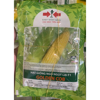 Hạt giống ngô ngọt lai f1 golden cob 100gram - bắp ngô to đều hạt