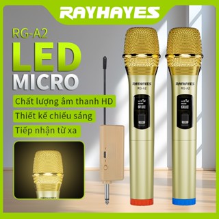 Micro không dây chuyên nghiệp Rayhayes có đèn Loa Bluetooth UHF Mic cầm tay cho Karaoke
