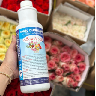 Combo 2 chai nước dưỡng hoa tươi lâu Bambi 500 pha 450L nước, nước cắm hoa tươi lâu