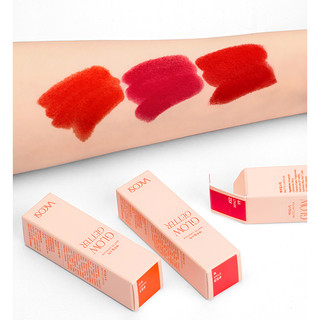 Son thỏi mịn lì vacosi vs13 / son lì mịn môi vacosi color matte lipstick 3.7g