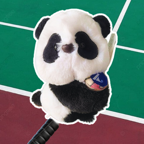 ⬛️ HỎA TỐC ⬛️ Bọc Bảo Vệ Cán Vợt Cầu Lông GẤU TRÚC ĐEN PANDA Nhồi Bông Đáng Yêu THÚ ÔM VỢT QUÀ TẶNG