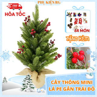 Cây thông noel mini PE gắn trái đỏ, cây thông noel để bàn trang trí cao 60cm tặng kèm bộ phụ kiện xinh xắn