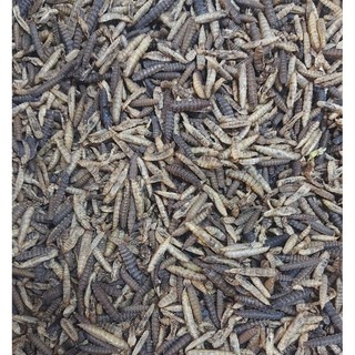 Sâu canxi cho hamster, chim cảnh 50g