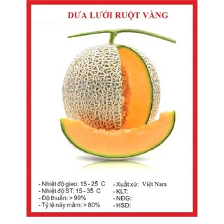 Hạt giống dưa lưới vỏ xanh ruột cam-gói 10 hạt