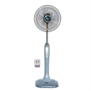 Quạt cây Chinghai có điều khiển HS-916A và không điều khiển HS- 916B-Hàng chính hãng