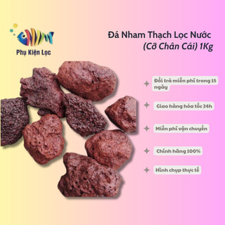 Đá Nham Thạch Lọc Nước (Cỡ Chân Cái) 1Kg