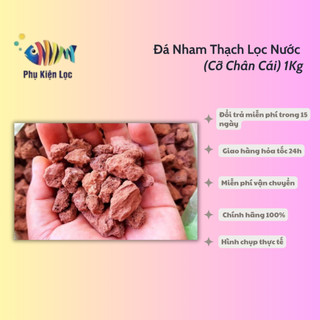 Đá Nham Thạch Lọc Nước (Cỡ Chân Cái) 1Kg