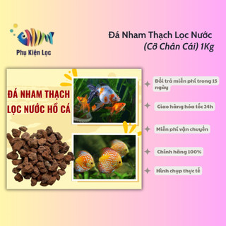 Đá Nham Thạch Lọc Nước (Cỡ Chân Cái) 1Kg