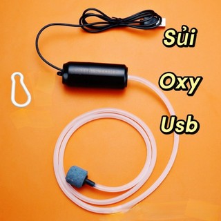 Trọn bộ máy sủi oxy mini kết nối USB - Sục khí oxy cho bể cá