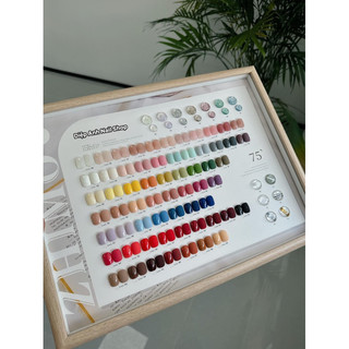 Set sơn Zhimo 75 màu kèm bảng