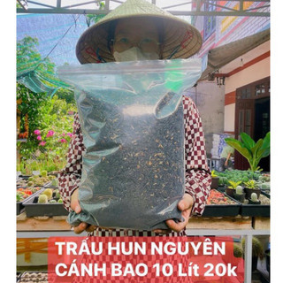 Trấu hun nguyên hạt bao 10 Lít