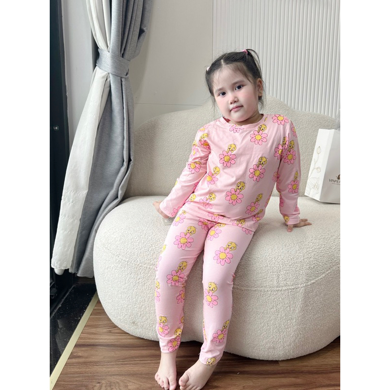 Sét 2 bộ thỏ tím và vịt hồng