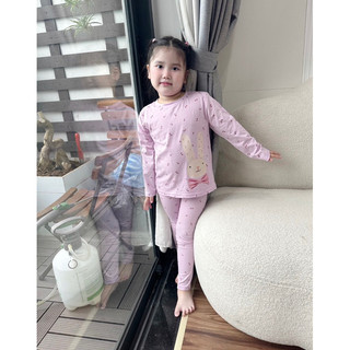 Sét 2 bộ thỏ tím và vịt hồng