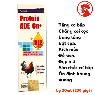 Protein ADE Ca+ B12 giúp tăng cơ bắp, nuôi gà lên tay, sung hừng gà, tăng nước máu, bổ máu, đỏ tích