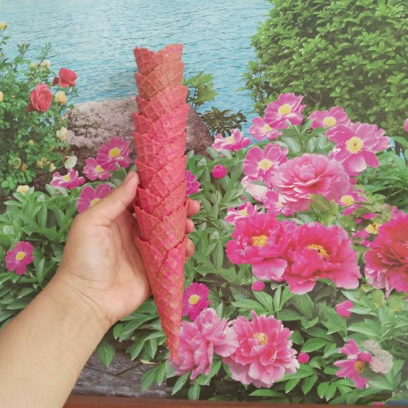 5 Cái bánh ốc quế vị dâu