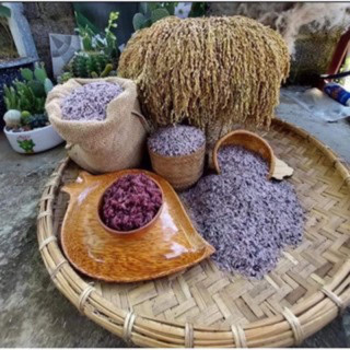 Gạo Nương tím Tây Bắc Loại 1