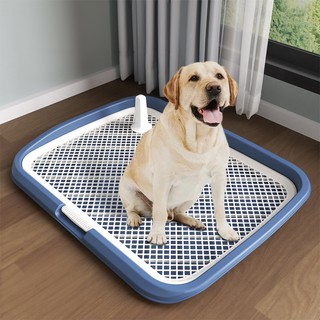 Khay vệ sinh cho chó có cọc cỡ đại để đi vệ sinh đúng chỗ hàng cao cấp các cỡ L Lapeta
