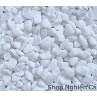 500g Sỏi trắng nhỏ trang trí Bể cá cảnh Hồ cá cảnh Chậu cây cảnh