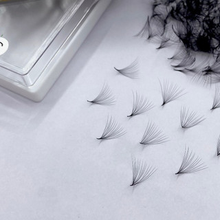 Mi fan sẵn 12d -dày 0.05 cong c-cc-d hộp 500 fan - dụng cụ nối mi mr tuấn