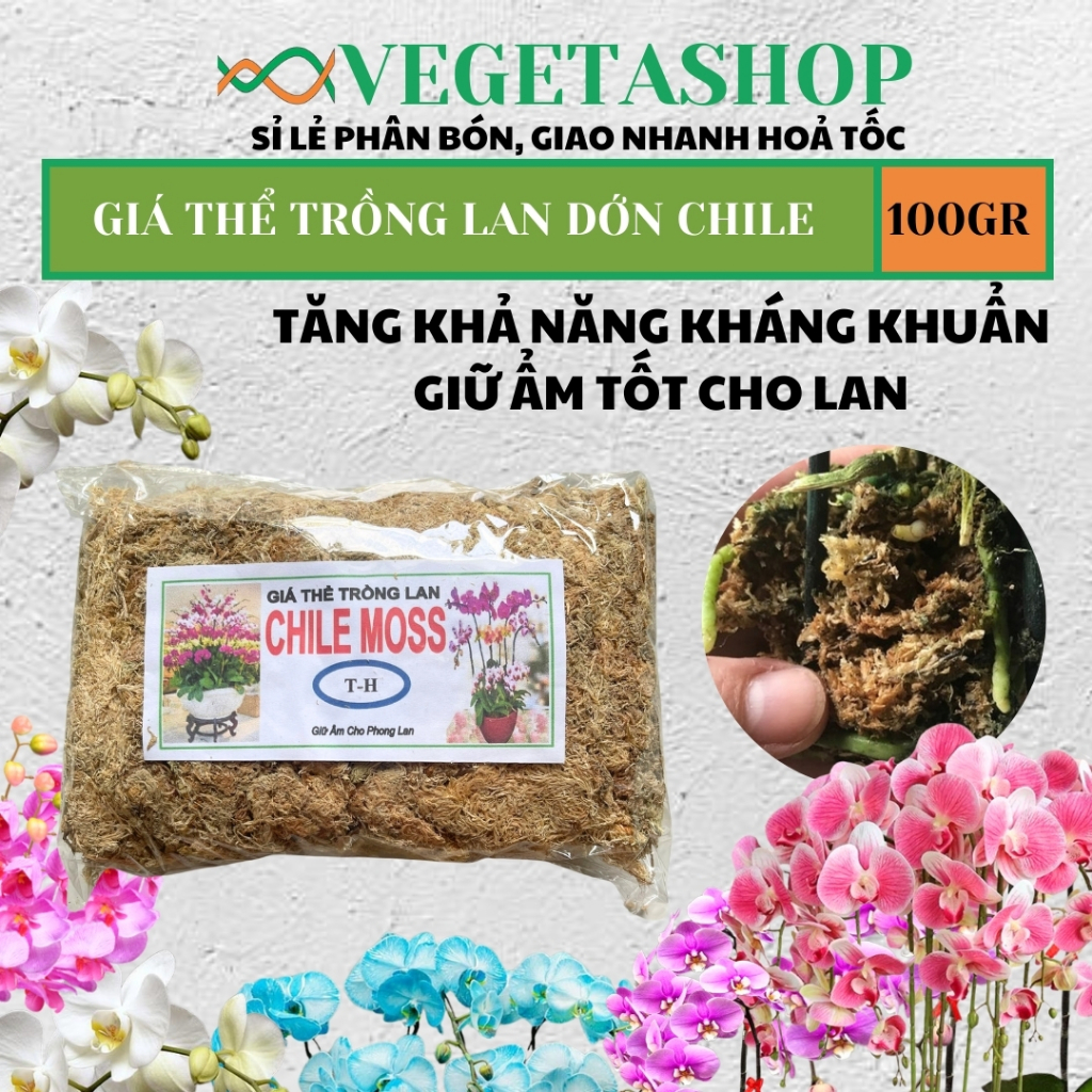 [ Ảnh Thật ] Dớn Chile 100gram ( giá thể trồng lan ), Dớn Chi Lê,Vật Dụng Trồng Phong Lan,Giữ Ẩm Cực Tốt Cho Lan Hồ Điệp