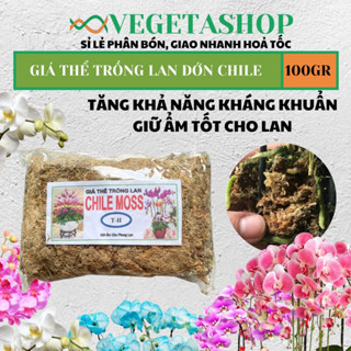 [ Ảnh Thật ] Dớn Chile 100gram ( giá thể trồng lan ), Dớn Chi Lê,Vật Dụng Trồng Phong Lan,Giữ Ẩm Cực Tốt Cho Lan Hồ Điệp