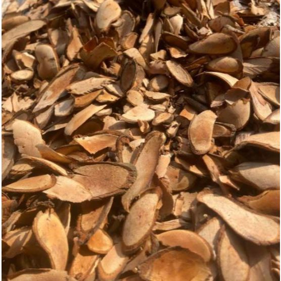 Đỗ Trọng Nam Khô ( Đại Bổ Thận) Thượng Hạng 1kg