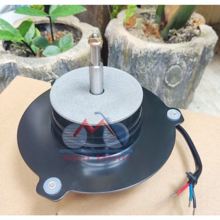 Motor không than 12-24v cho quạt hơi nước