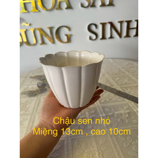 chậu nhựa cắm hoa