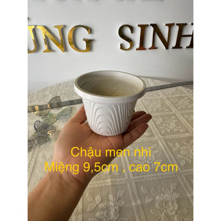 chậu nhựa cắm hoa